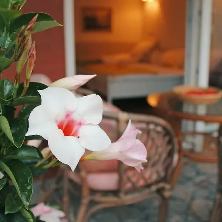 Apartma As Appartement *