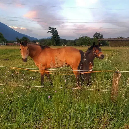 Apartma As Appartement *