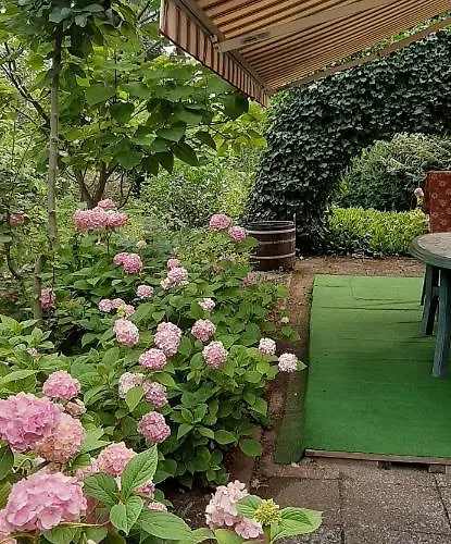 Apartma As Lesce (Upper Carniola)