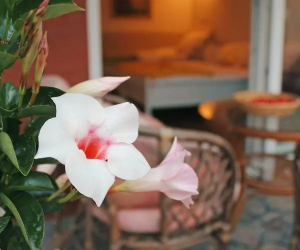 Apartma As Apartment *